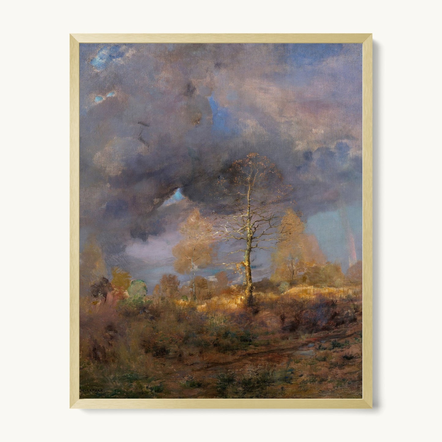 After the Storm