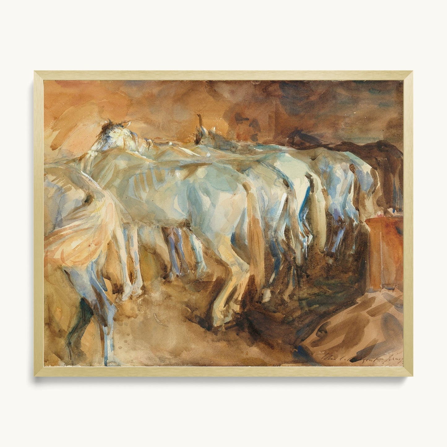 Bus Horses in Jerusalem