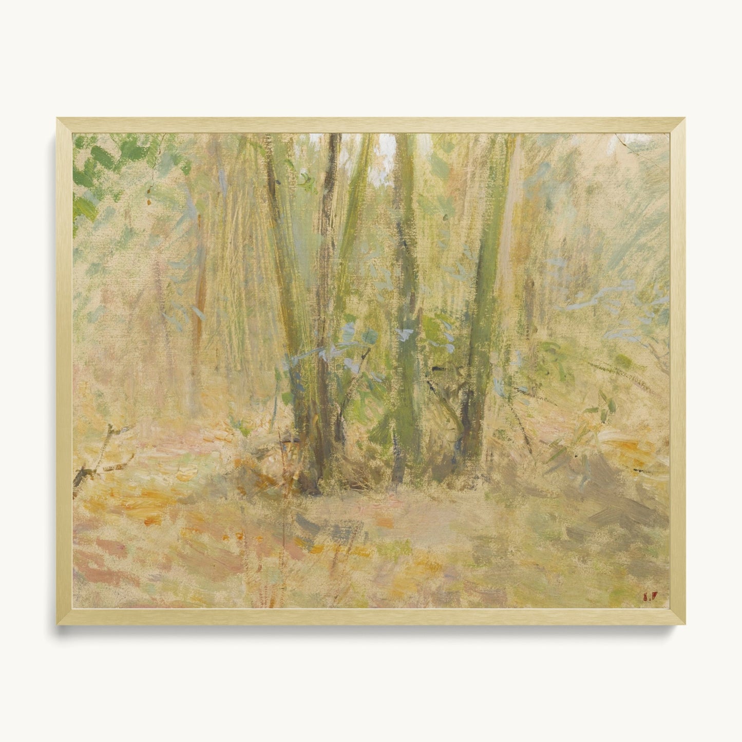 Arbres dans la forêt