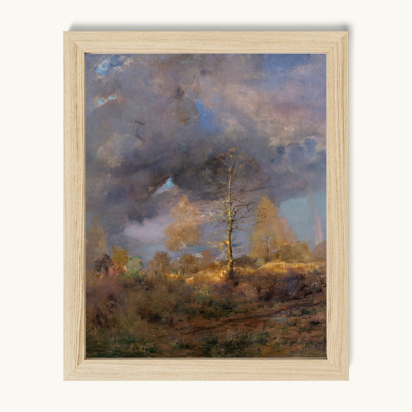 After the Storm