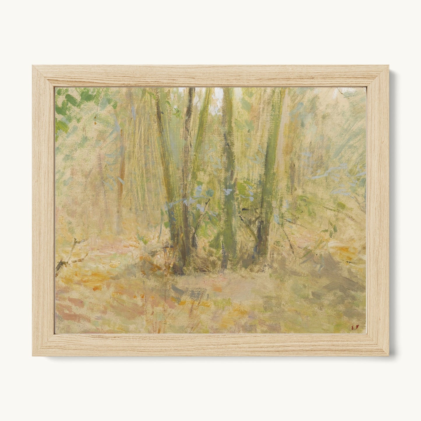 Arbres dans la forêt