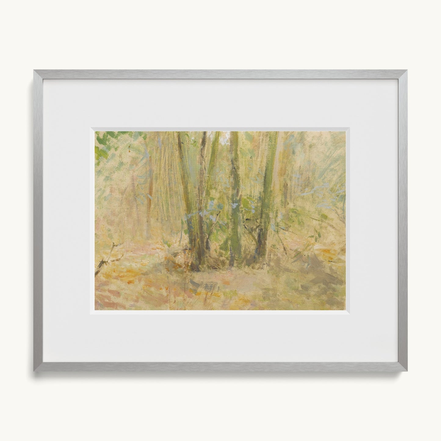 Arbres dans la forêt