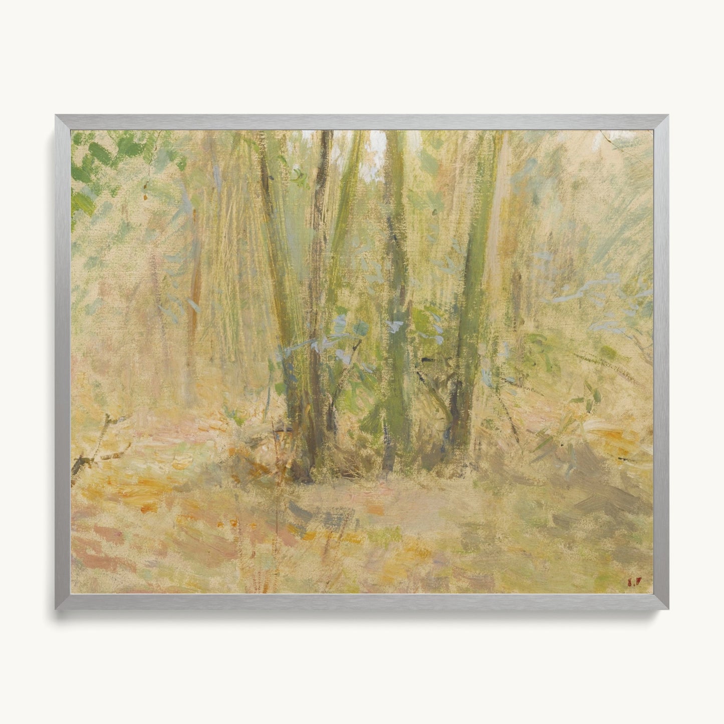 Arbres dans la forêt