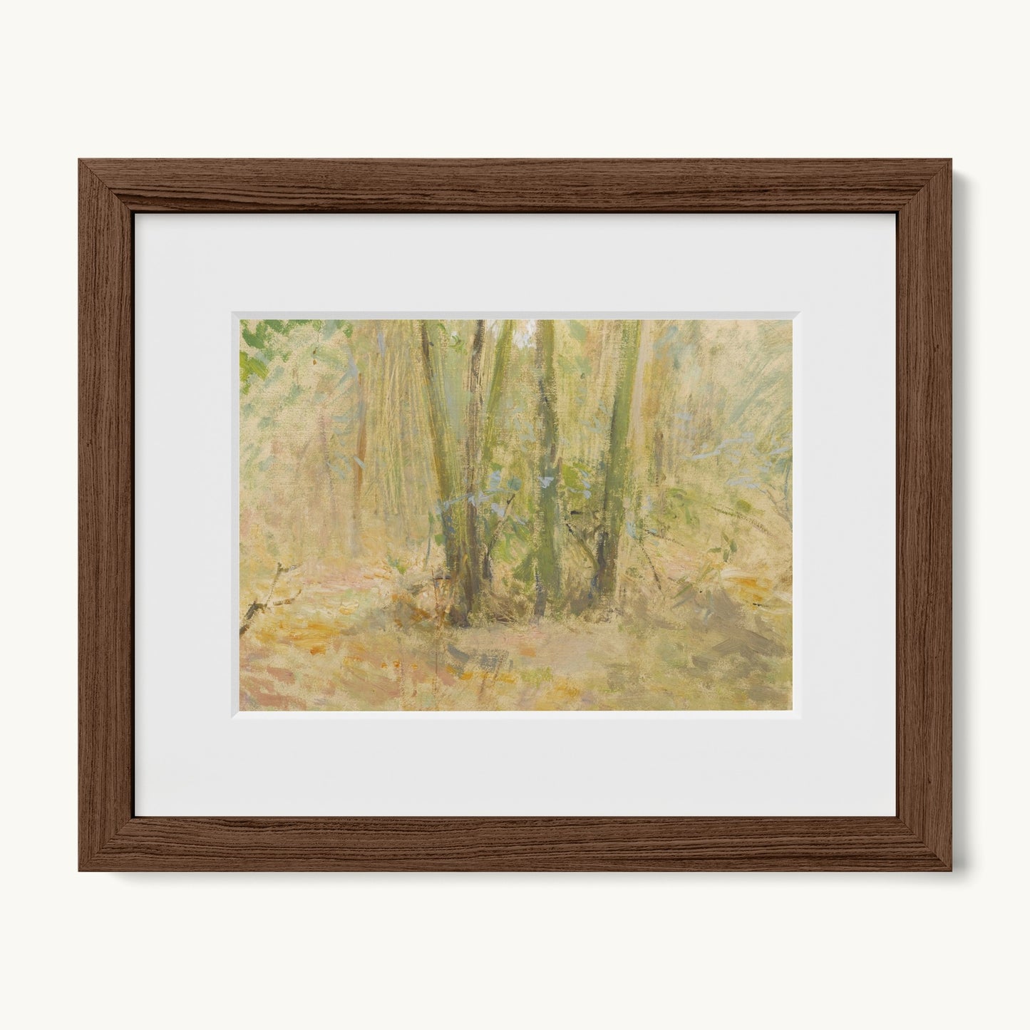 Arbres dans la forêt