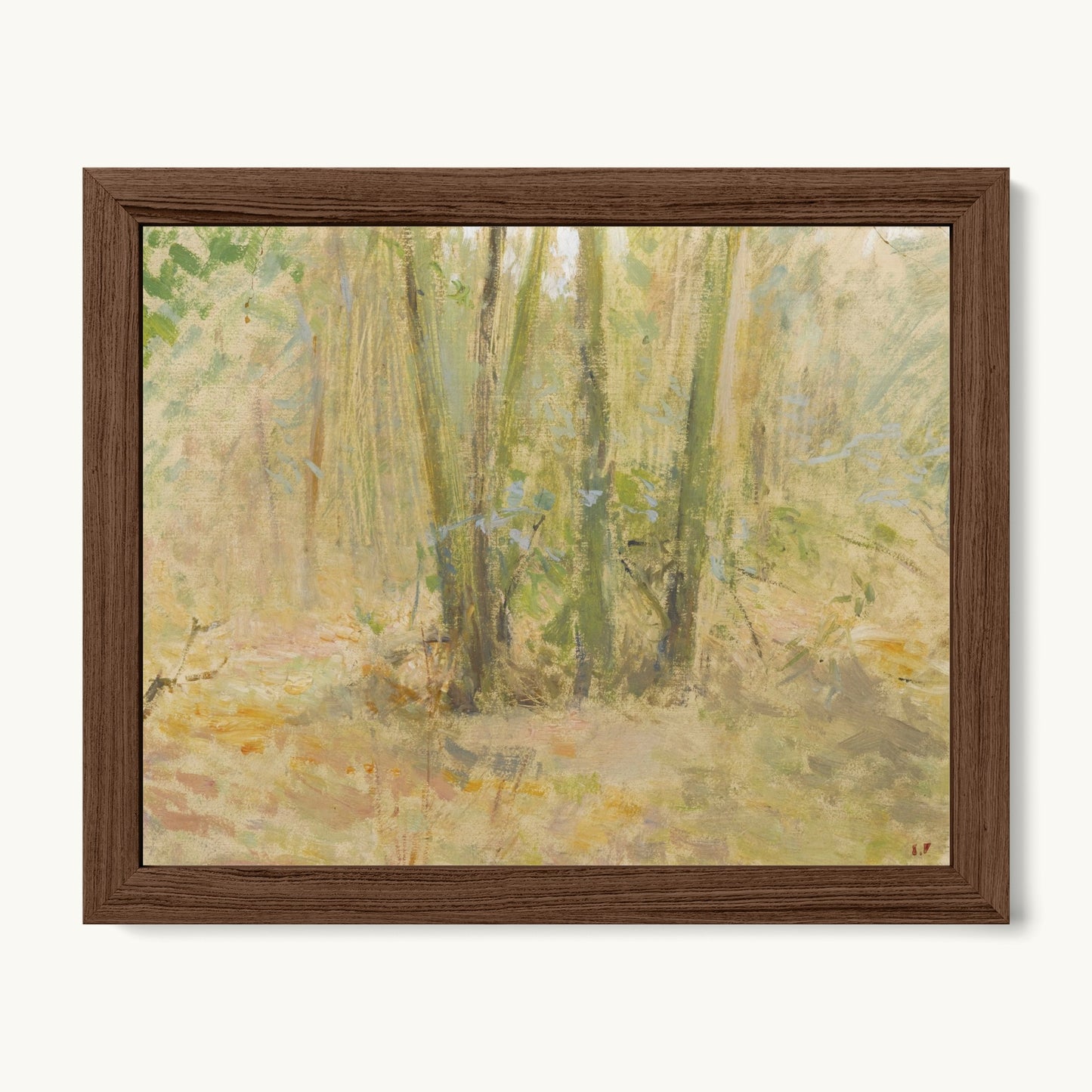 Arbres dans la forêt