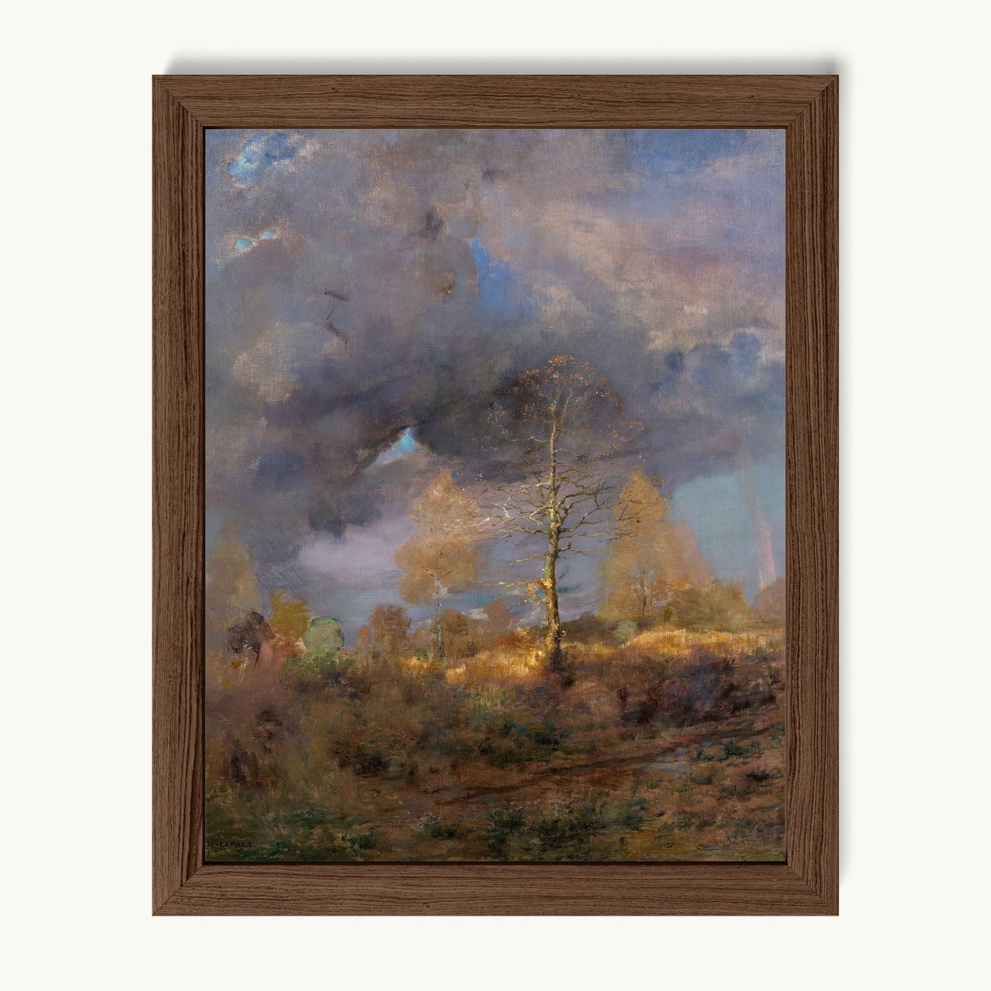 After the Storm