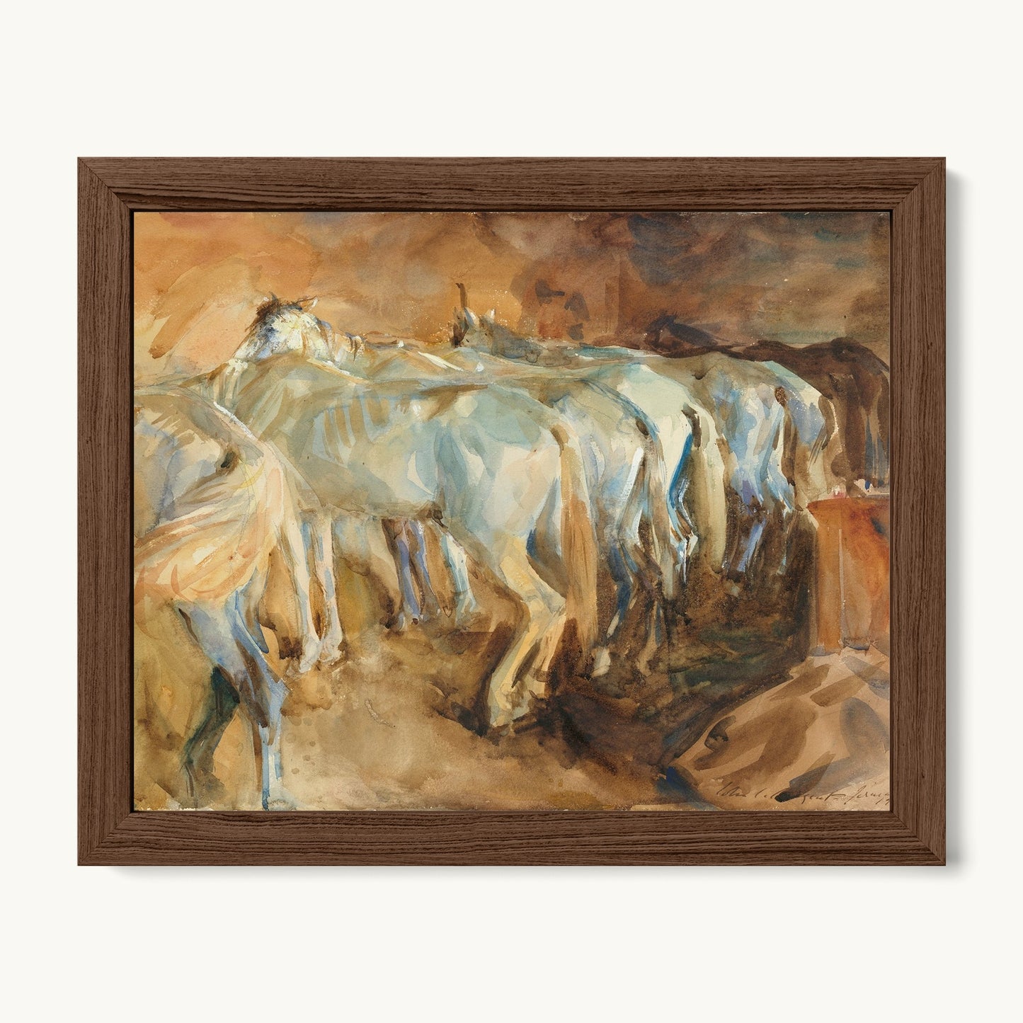 Bus Horses in Jerusalem