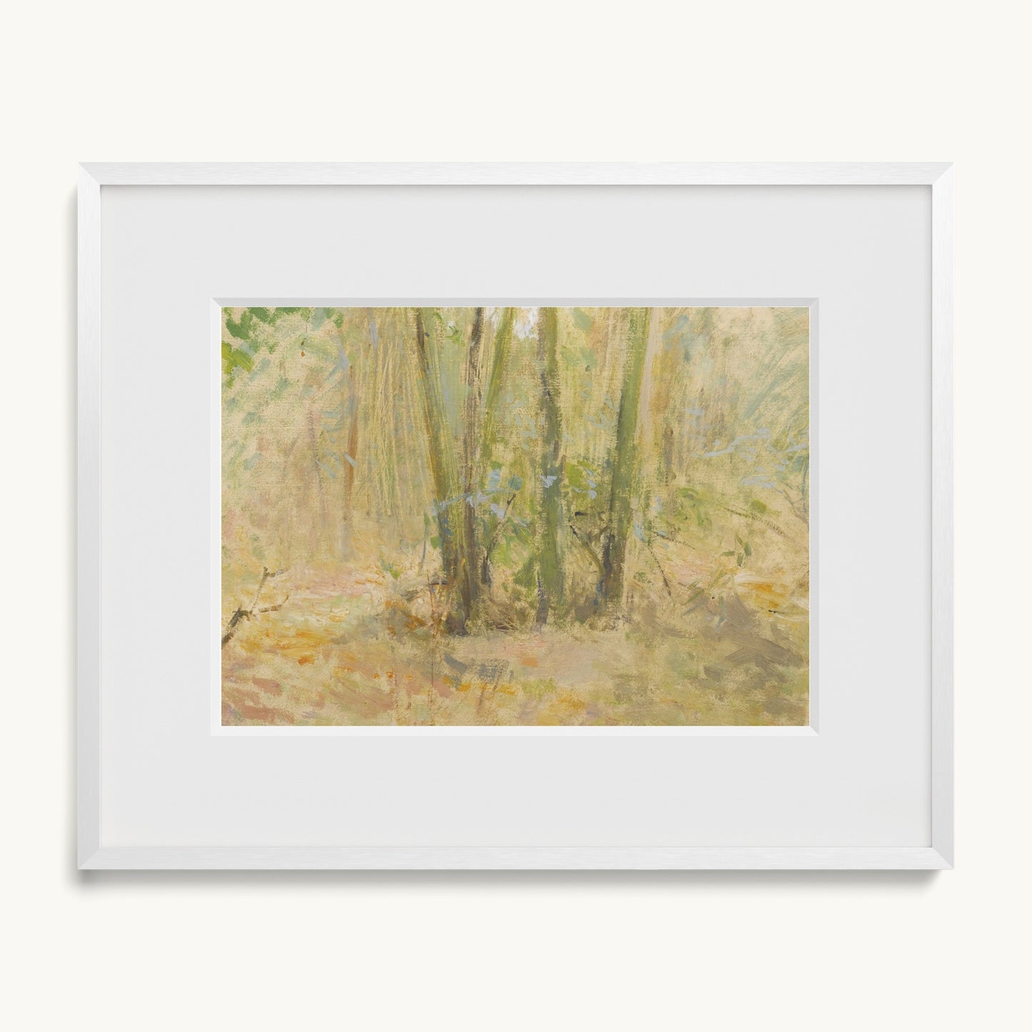 Arbres dans la forêt