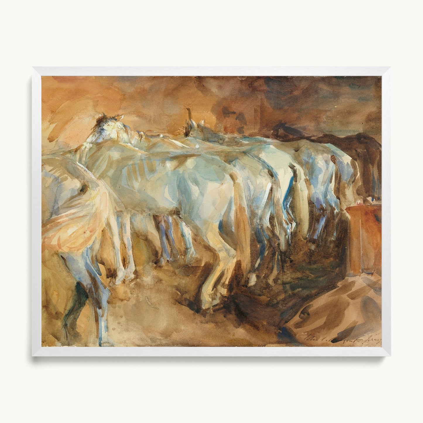 Bus Horses in Jerusalem