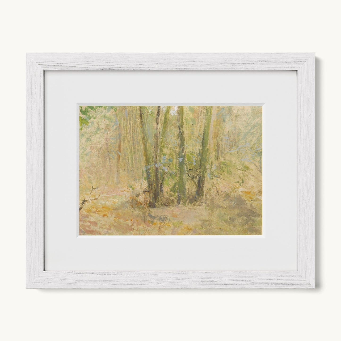 Arbres dans la forêt