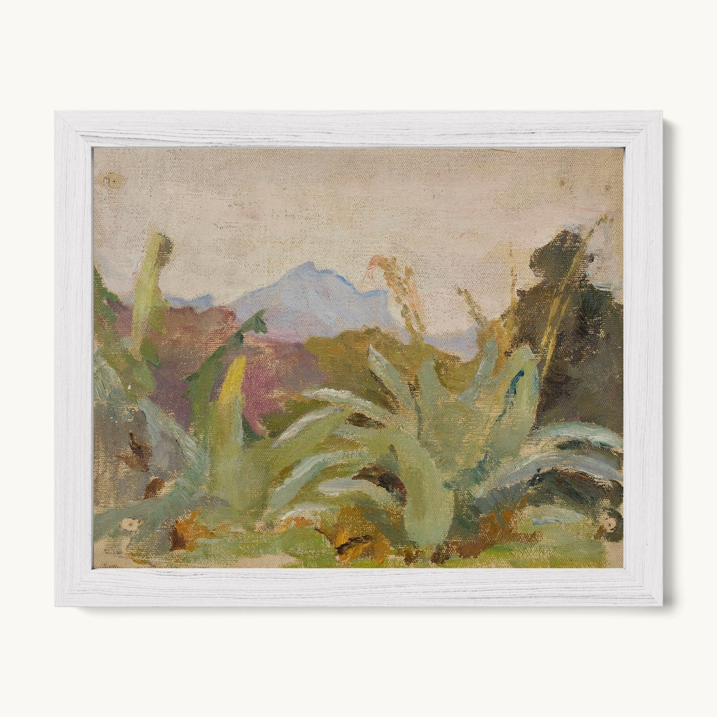 Ceylon: Adam's Peak Landscape