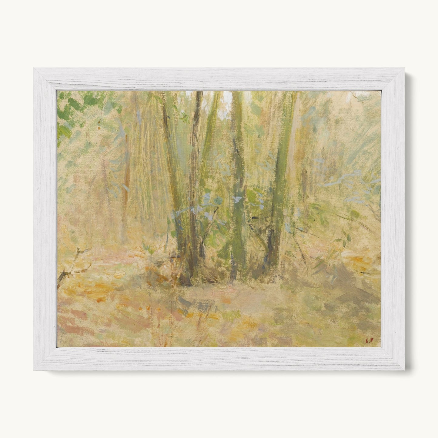 Arbres dans la forêt