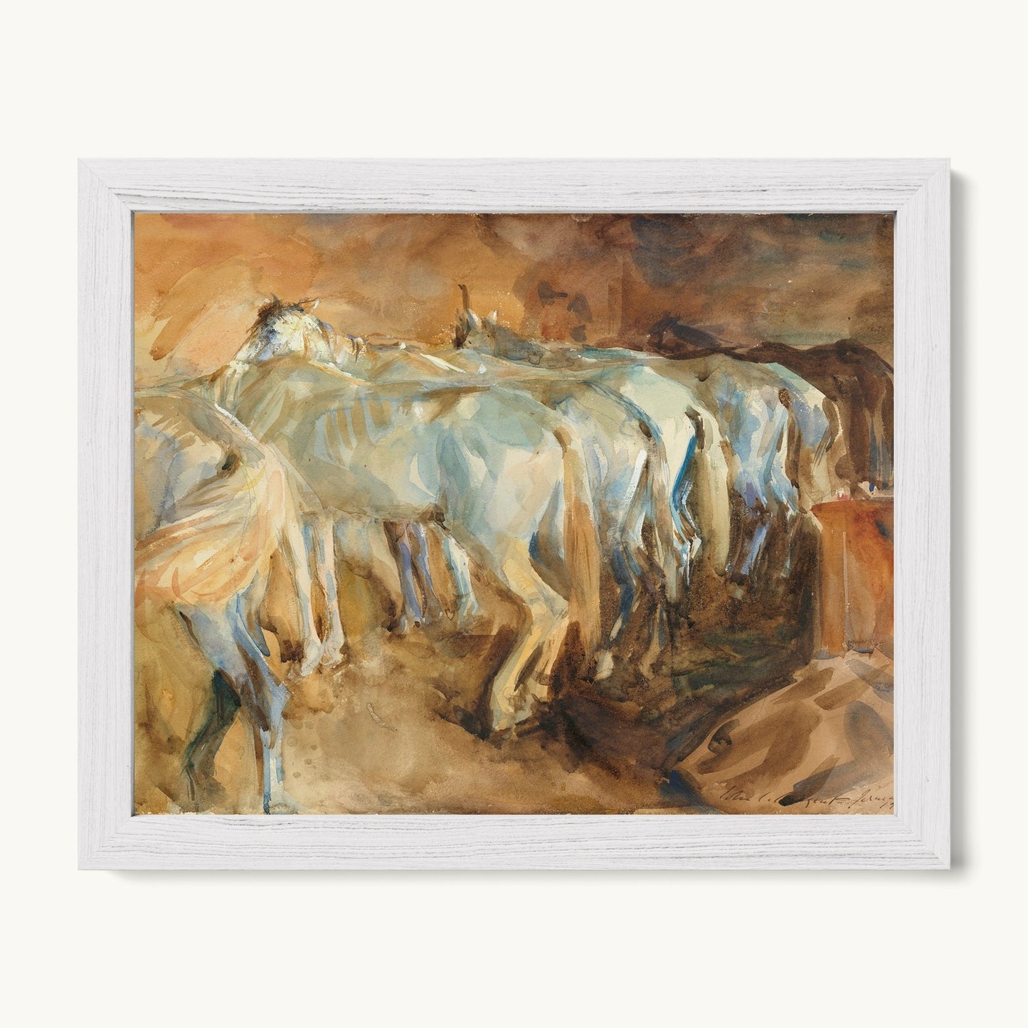 Bus Horses in Jerusalem