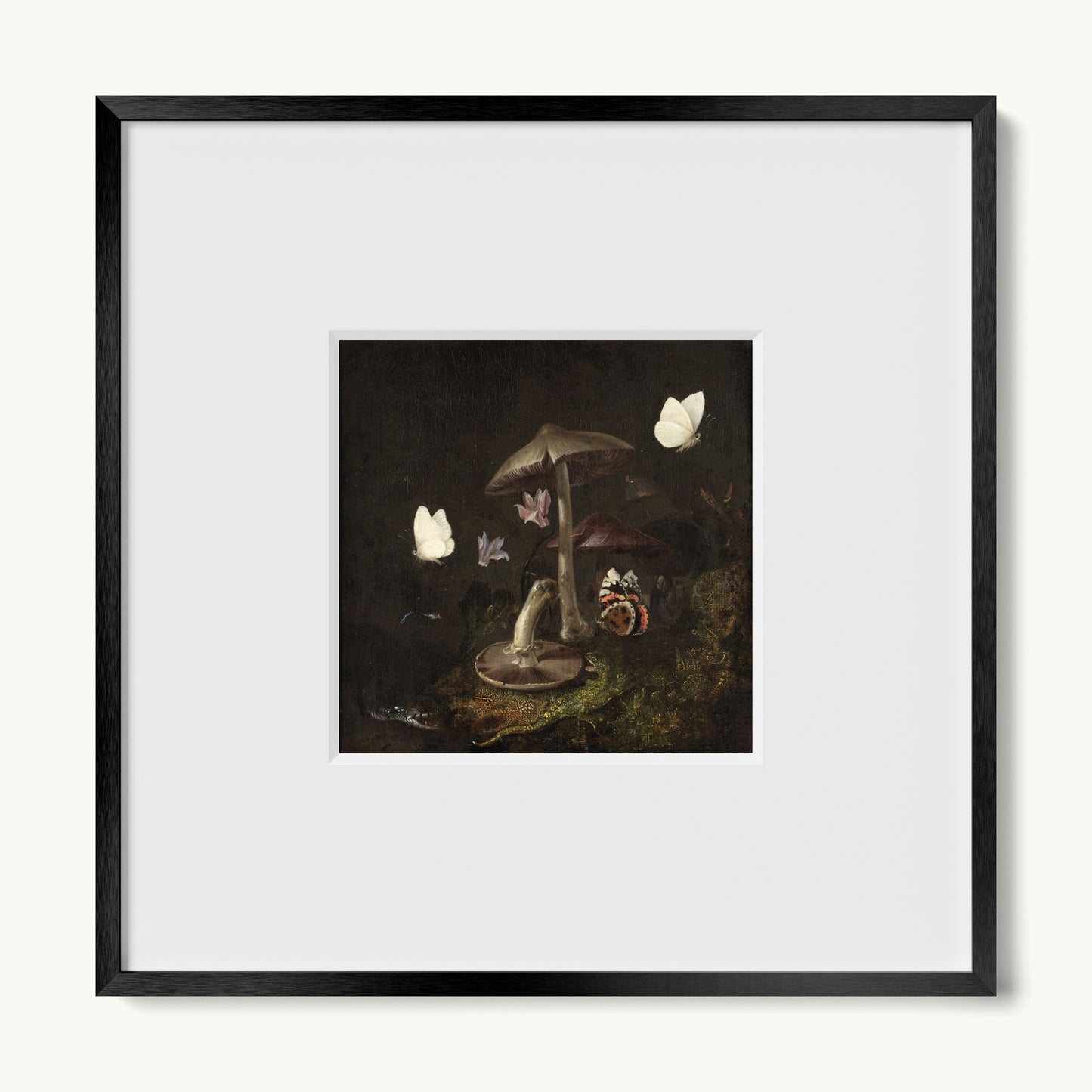 A Sottobosco with Mushrooms, Butterflies, a Dragonfly, a Snake and a Lizard