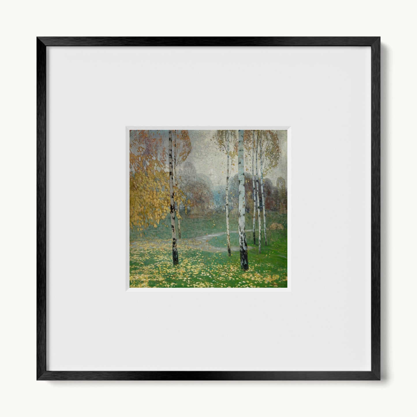 Birch Trees