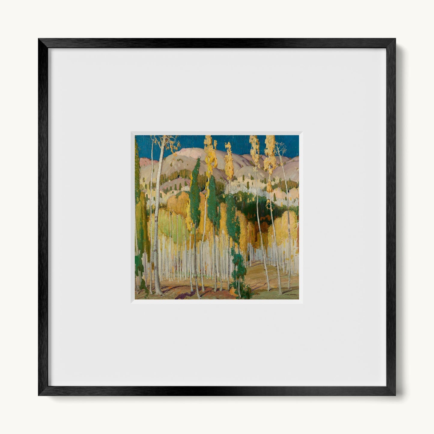 Aspen Trees at Twining