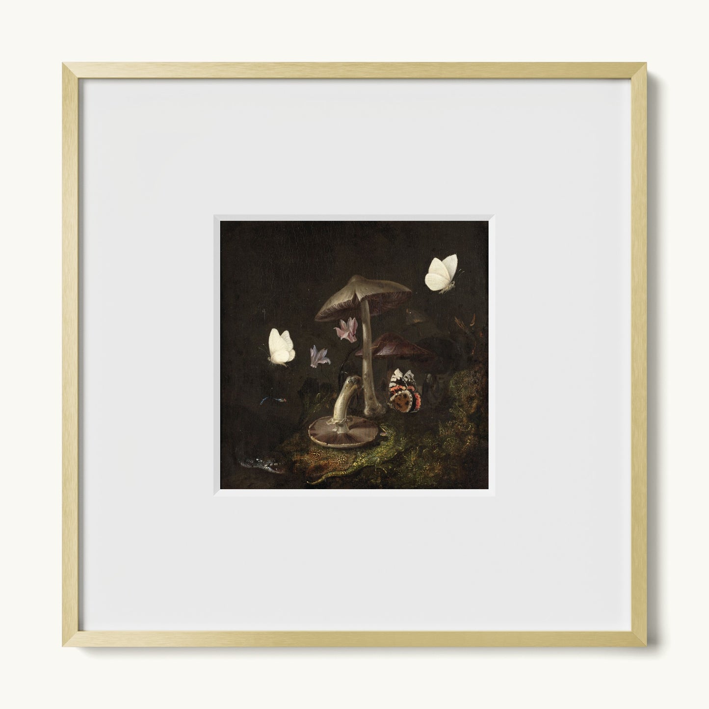 A Sottobosco with Mushrooms, Butterflies, a Dragonfly, a Snake and a Lizard