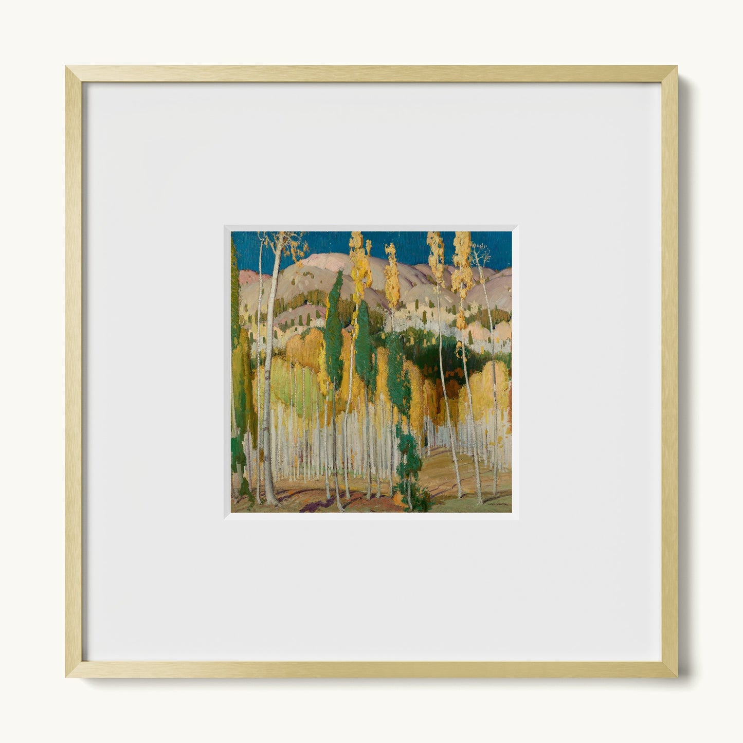 Aspen Trees at Twining