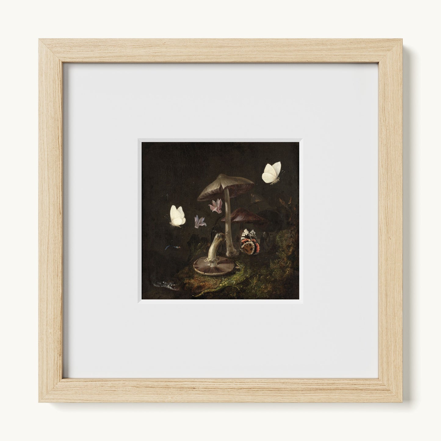 A Sottobosco with Mushrooms, Butterflies, a Dragonfly, a Snake and a Lizard