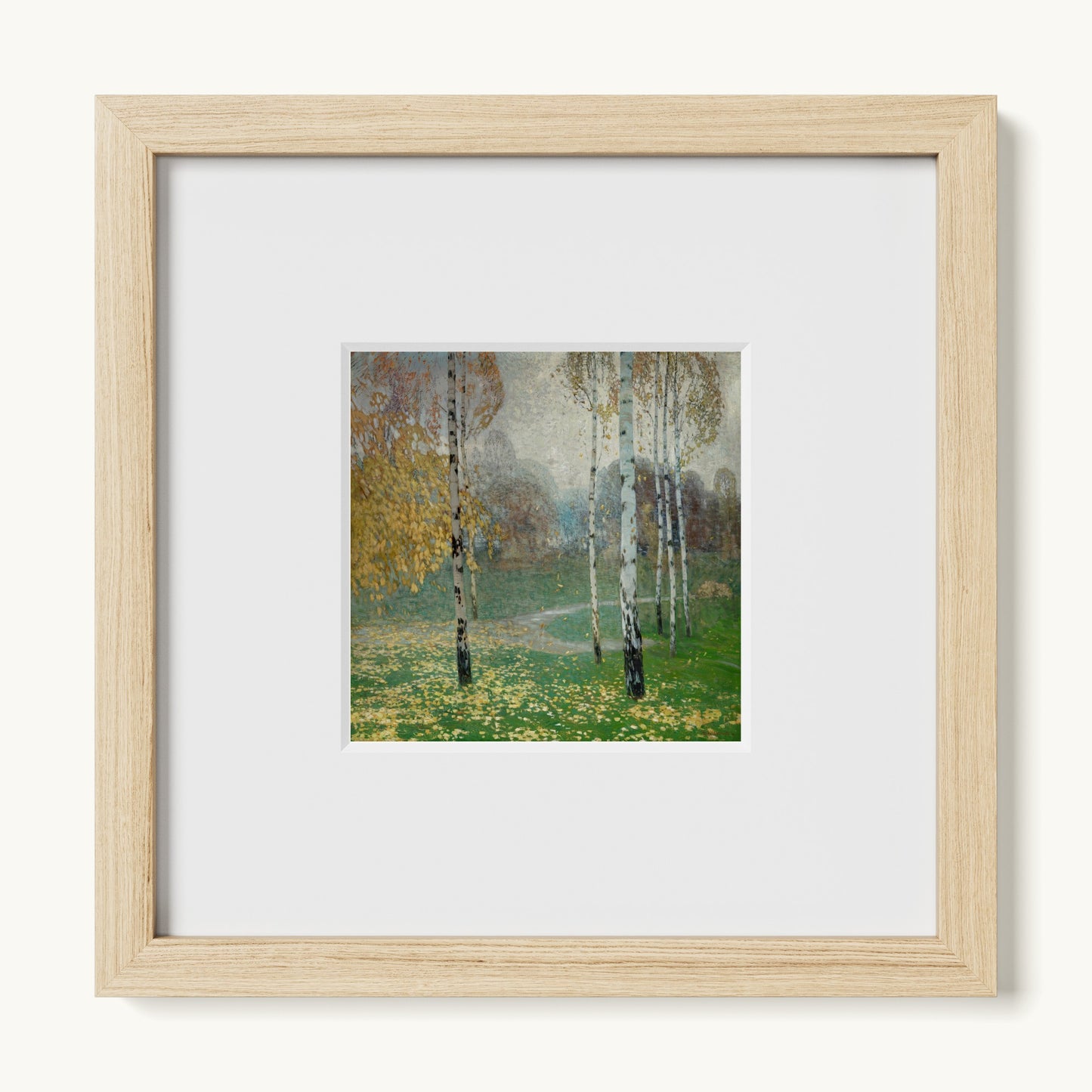 Birch Trees