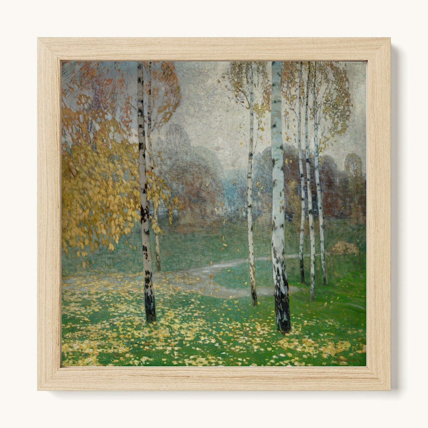 Birch Trees