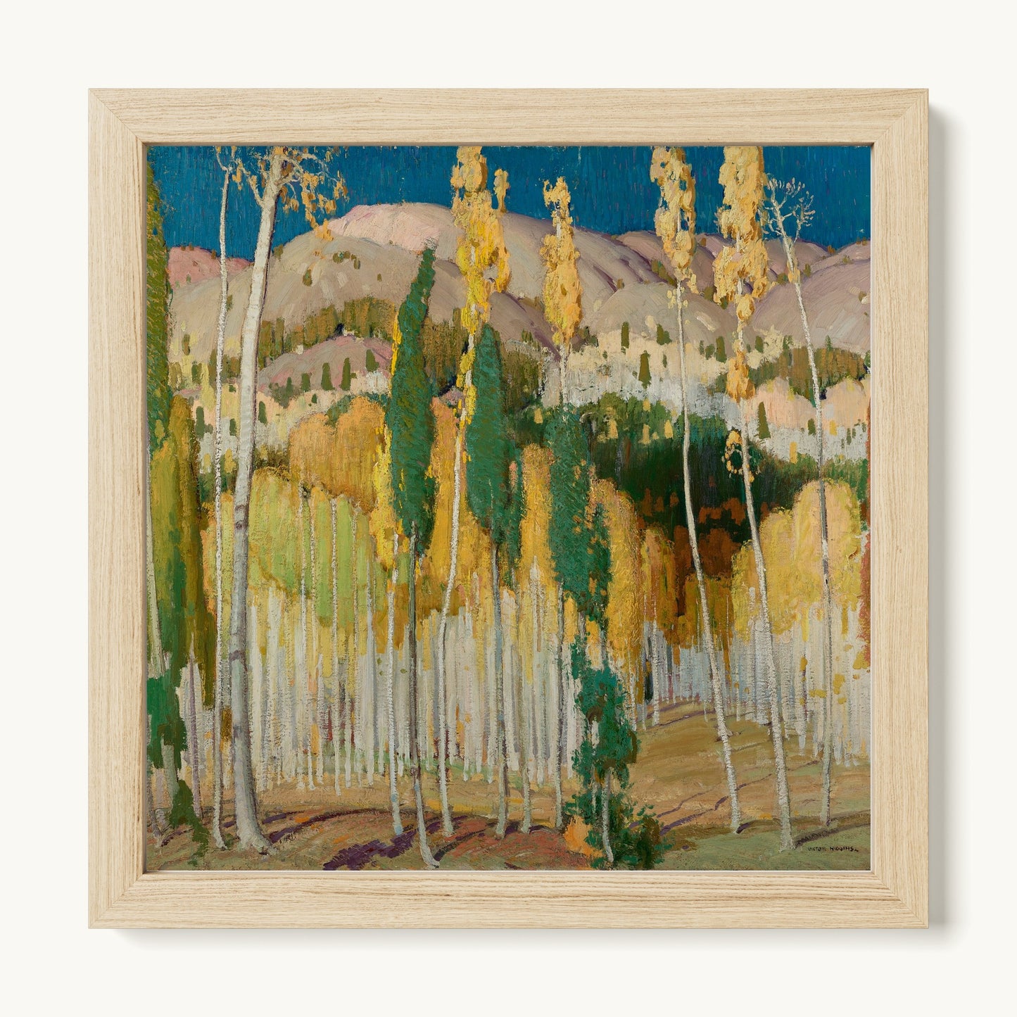 Aspen Trees at Twining