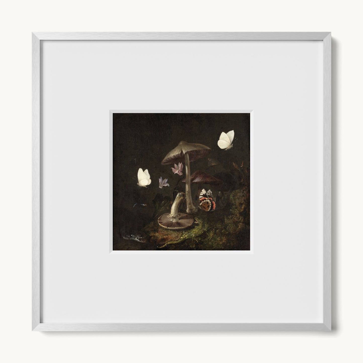 A Sottobosco with Mushrooms, Butterflies, a Dragonfly, a Snake and a Lizard
