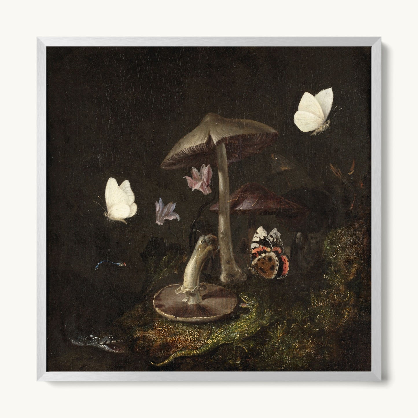 A Sottobosco with Mushrooms, Butterflies, a Dragonfly, a Snake and a Lizard