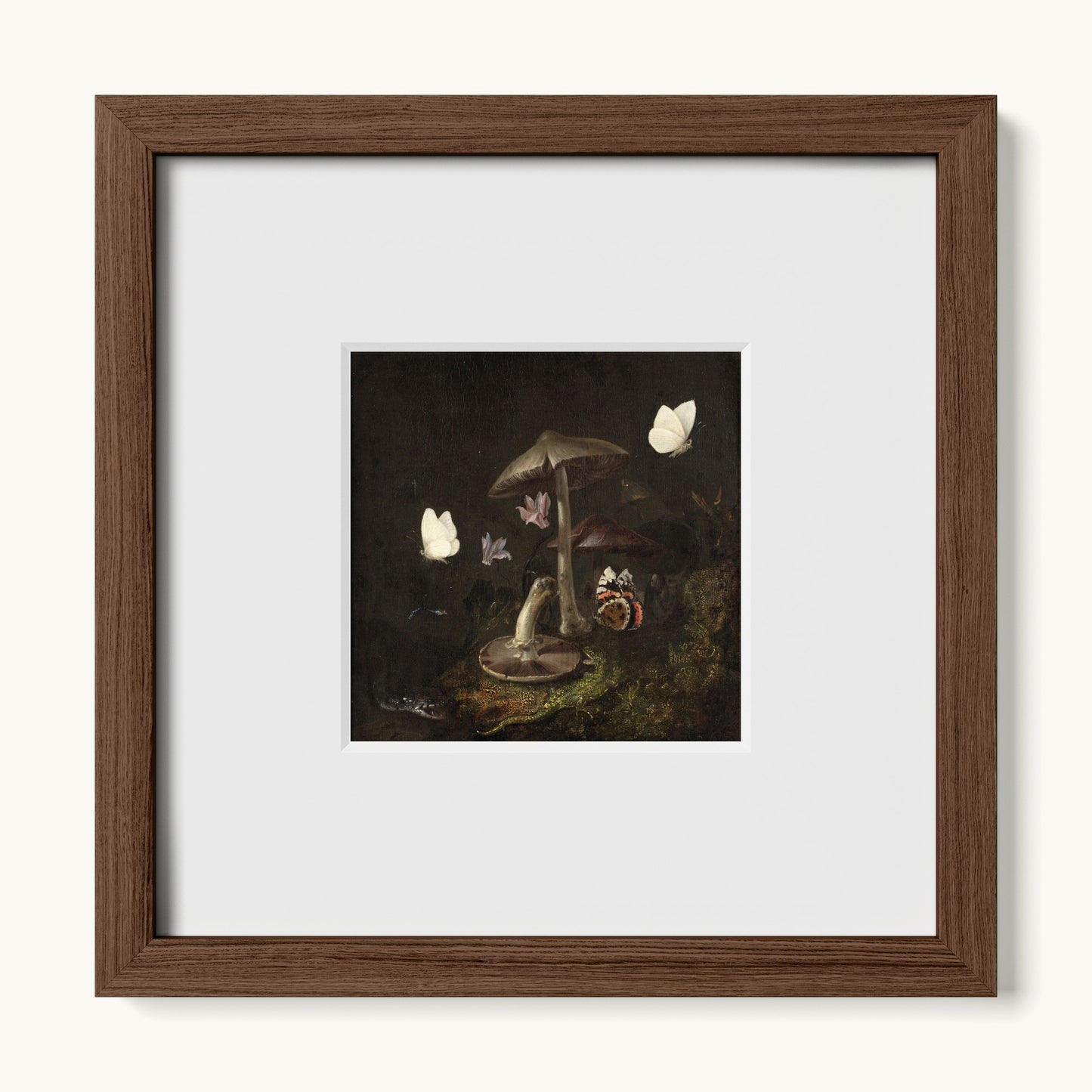 A Sottobosco with Mushrooms, Butterflies, a Dragonfly, a Snake and a Lizard