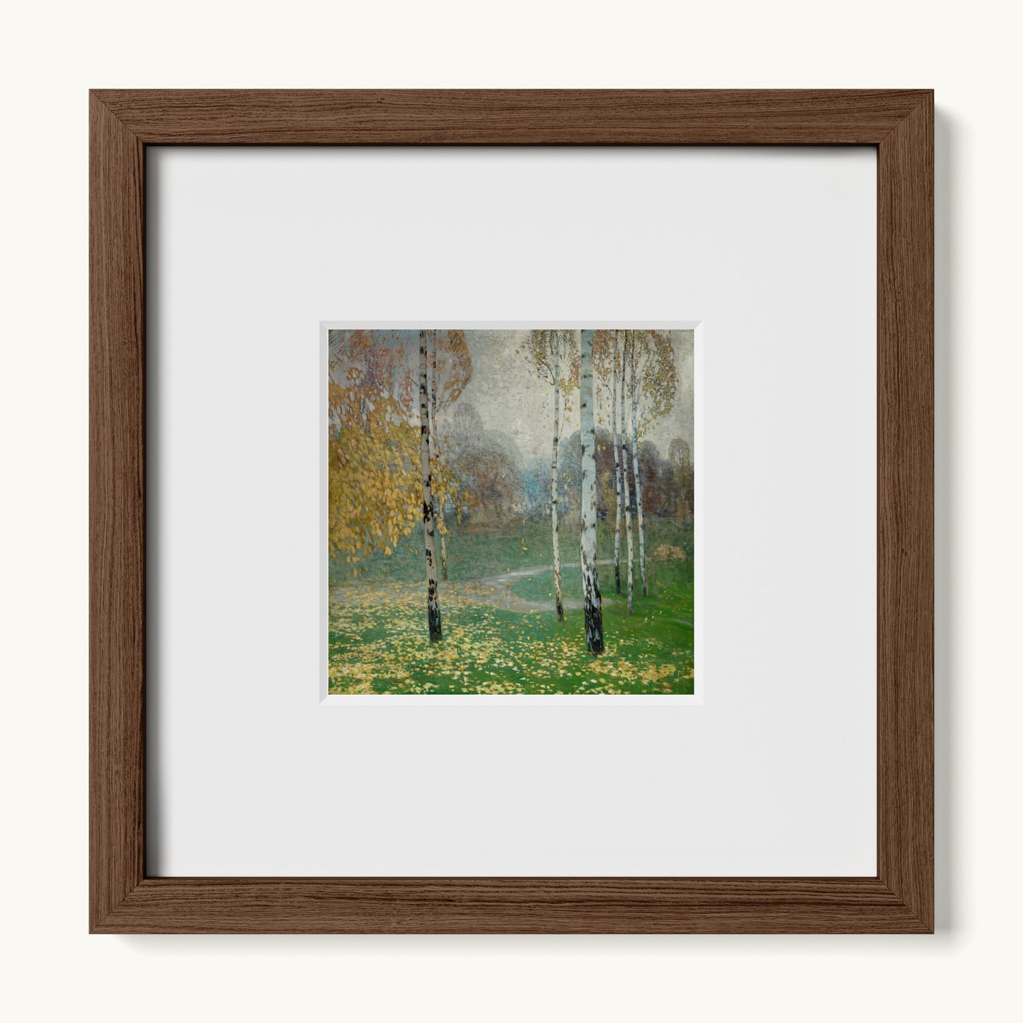 Birch Trees