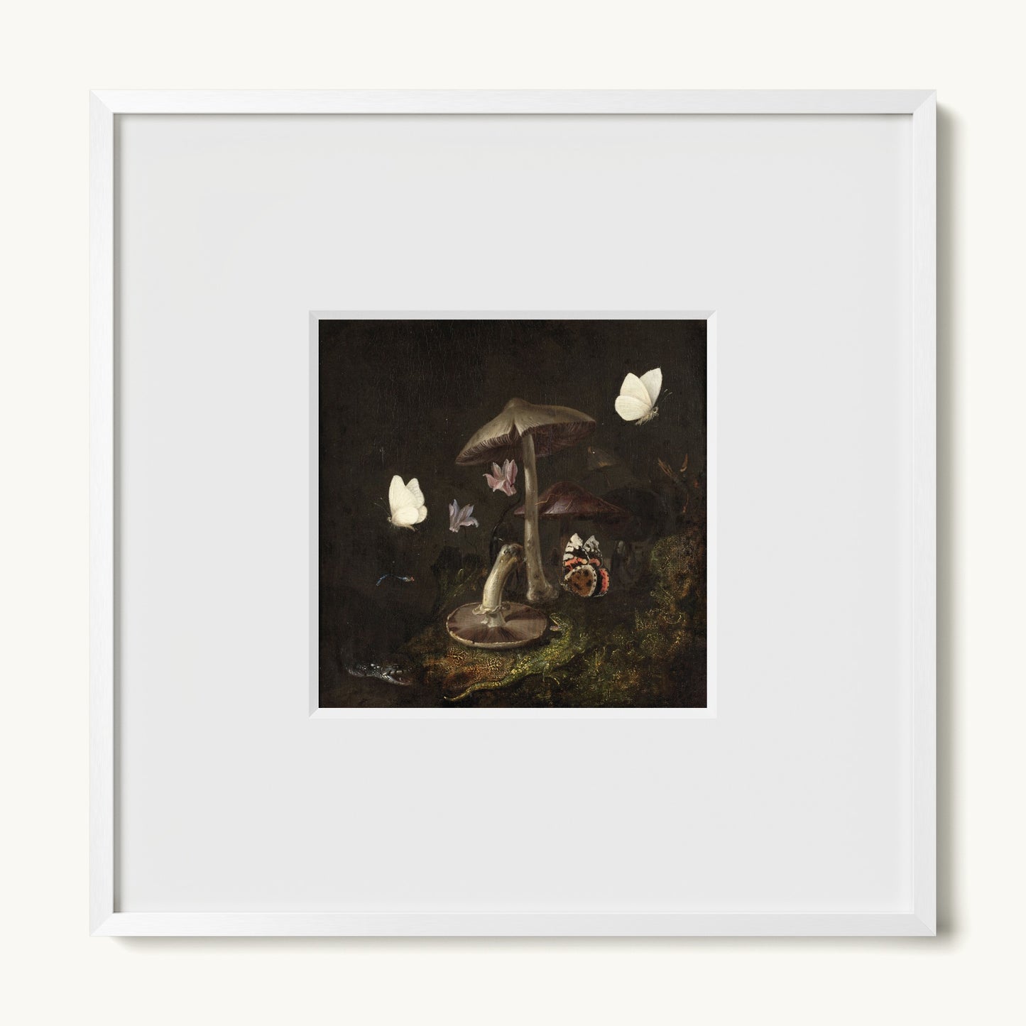 A Sottobosco with Mushrooms, Butterflies, a Dragonfly, a Snake and a Lizard