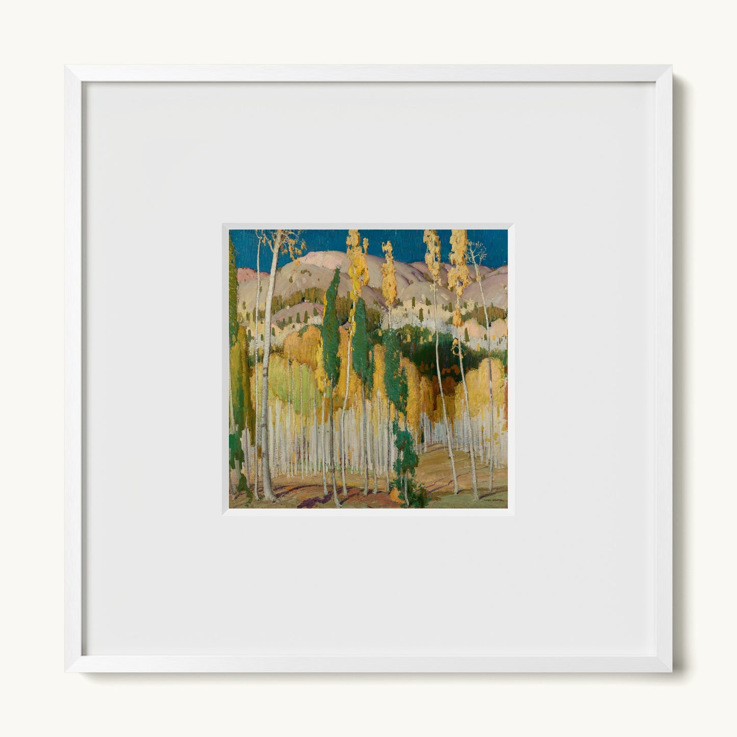 Aspen Trees at Twining