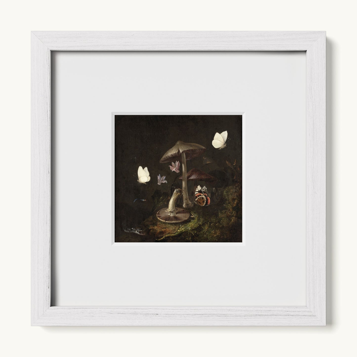 A Sottobosco with Mushrooms, Butterflies, a Dragonfly, a Snake and a Lizard