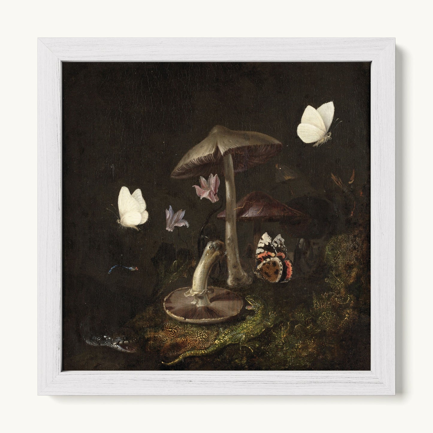 A Sottobosco with Mushrooms, Butterflies, a Dragonfly, a Snake and a Lizard