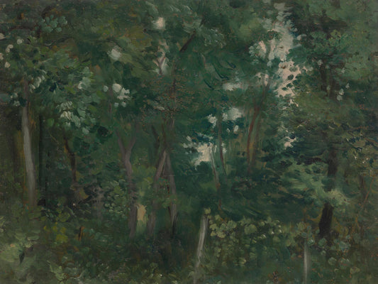 Woodland Interior