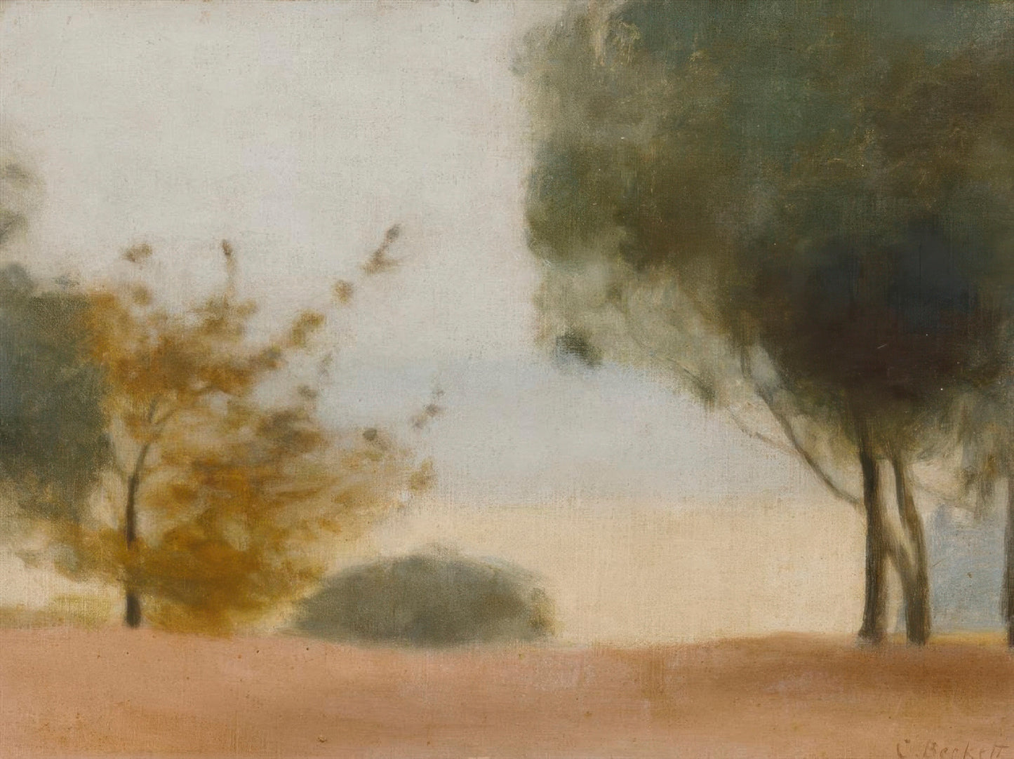 The Yellow Bush