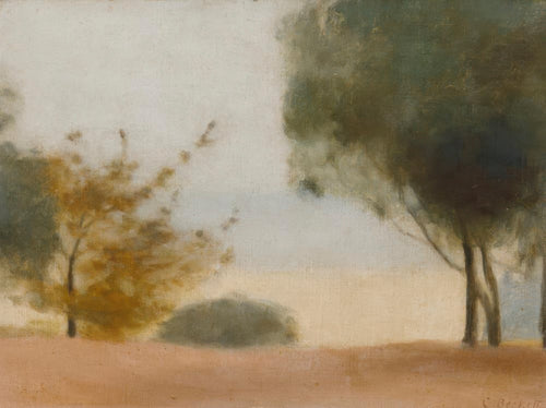 The Yellow Bush