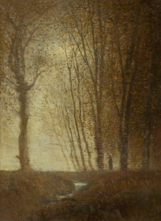 Edge of the Forest in the Moonlight