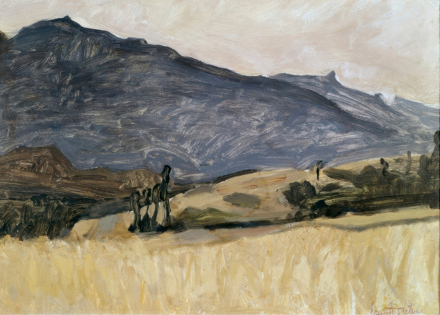Valais Landscape
