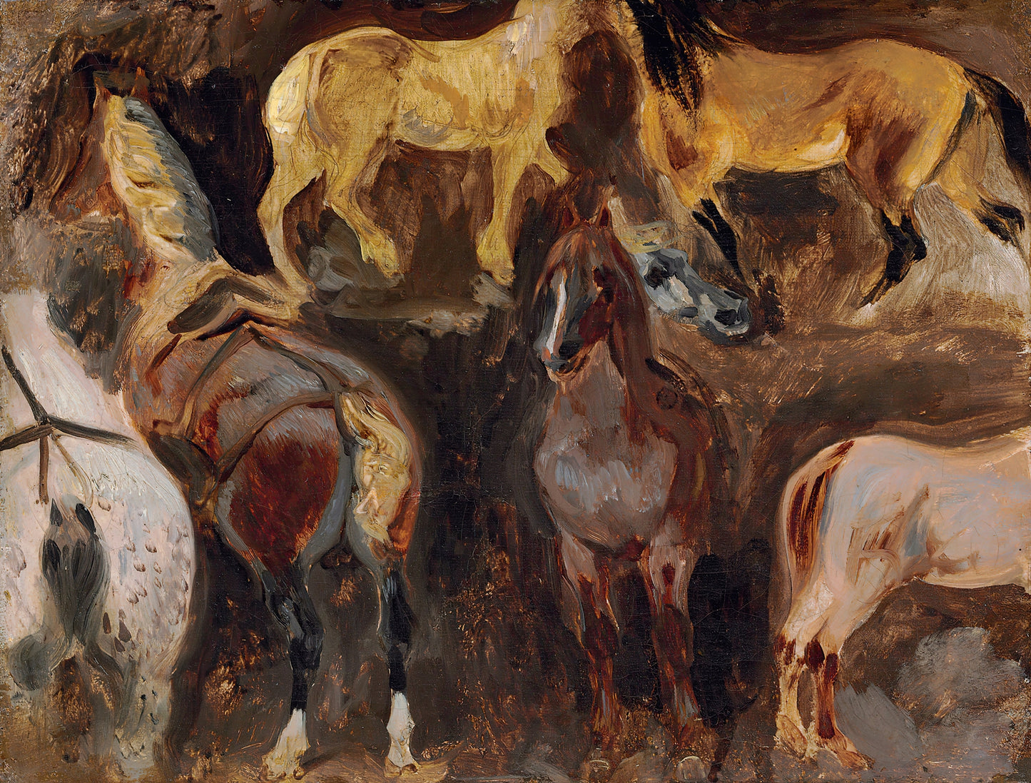 Étude De Chevaux