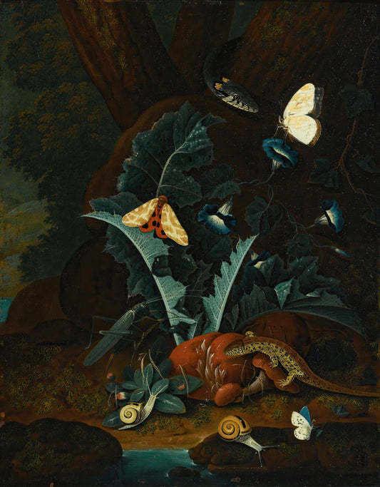 Forest Floor Still Life With Snails, A Lizard, A Grasshopper, Moths And A Snake