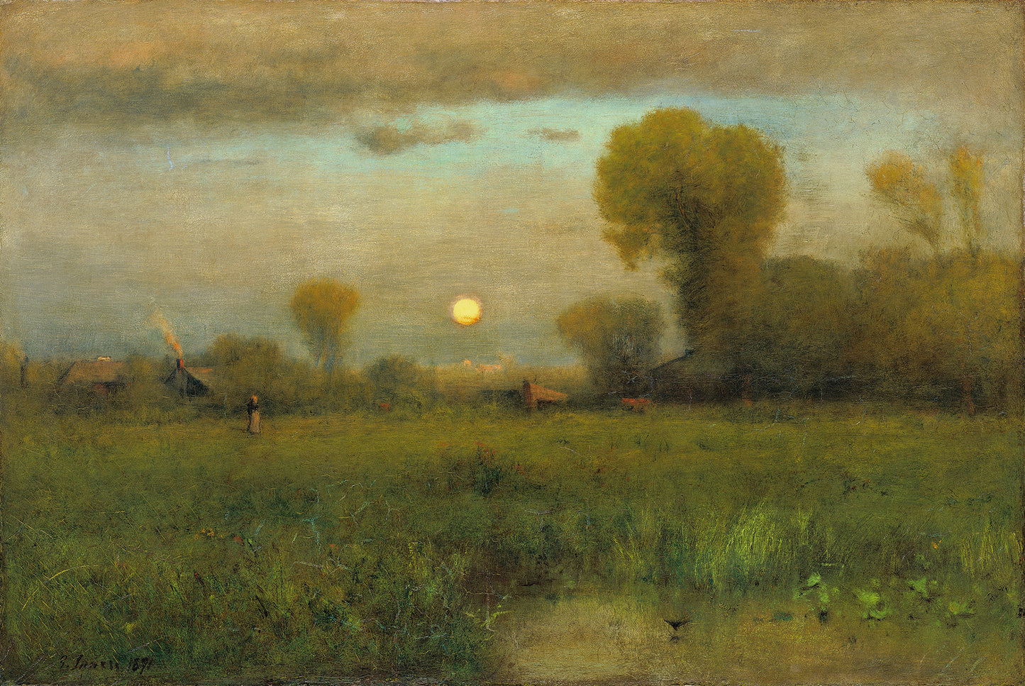 Harvest Moon