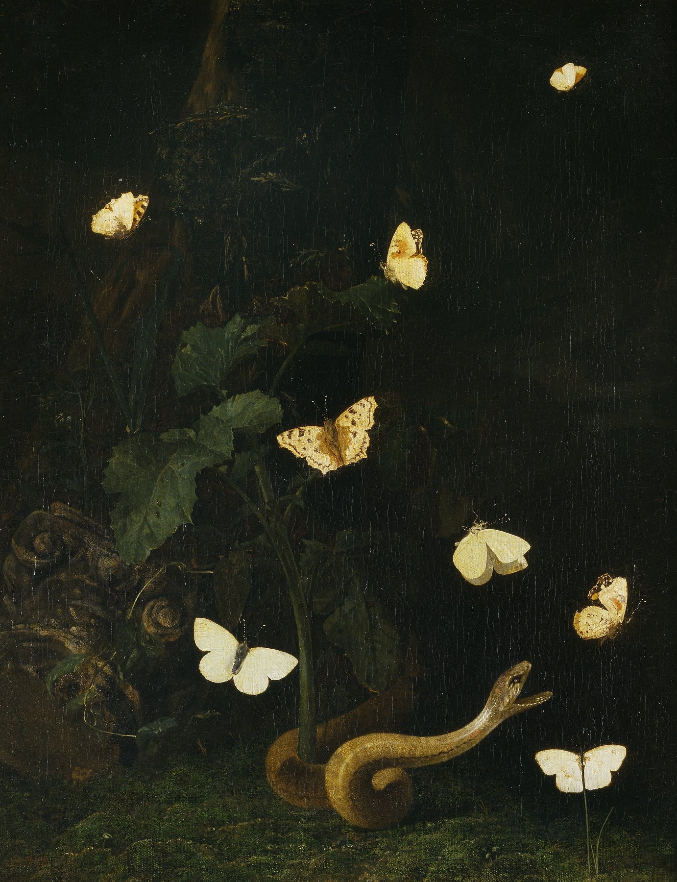 Herbs, Butterflies and a Serpent