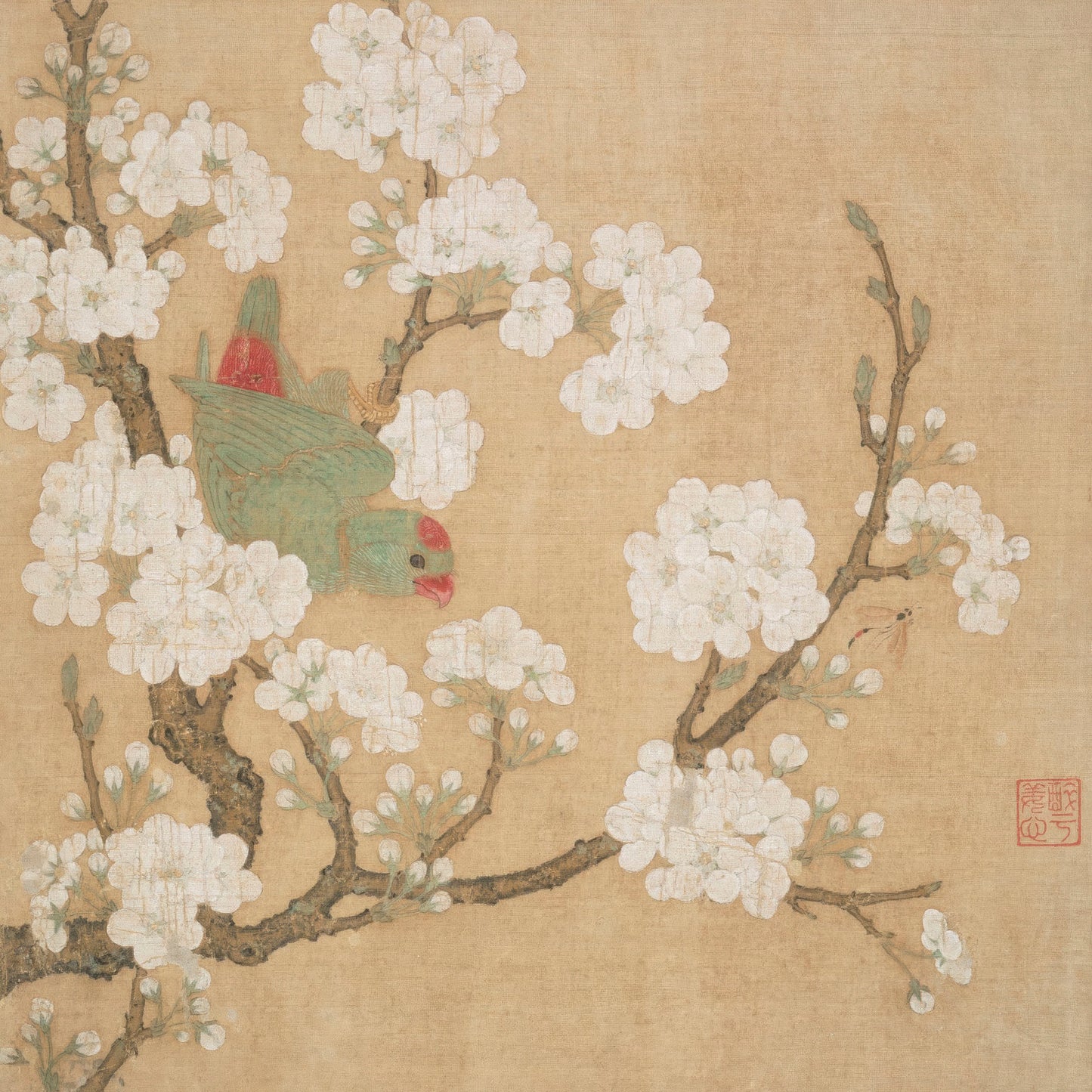 Parrot and Insect among Pear Blossoms