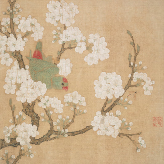 Parrot and Insect among Pear Blossoms