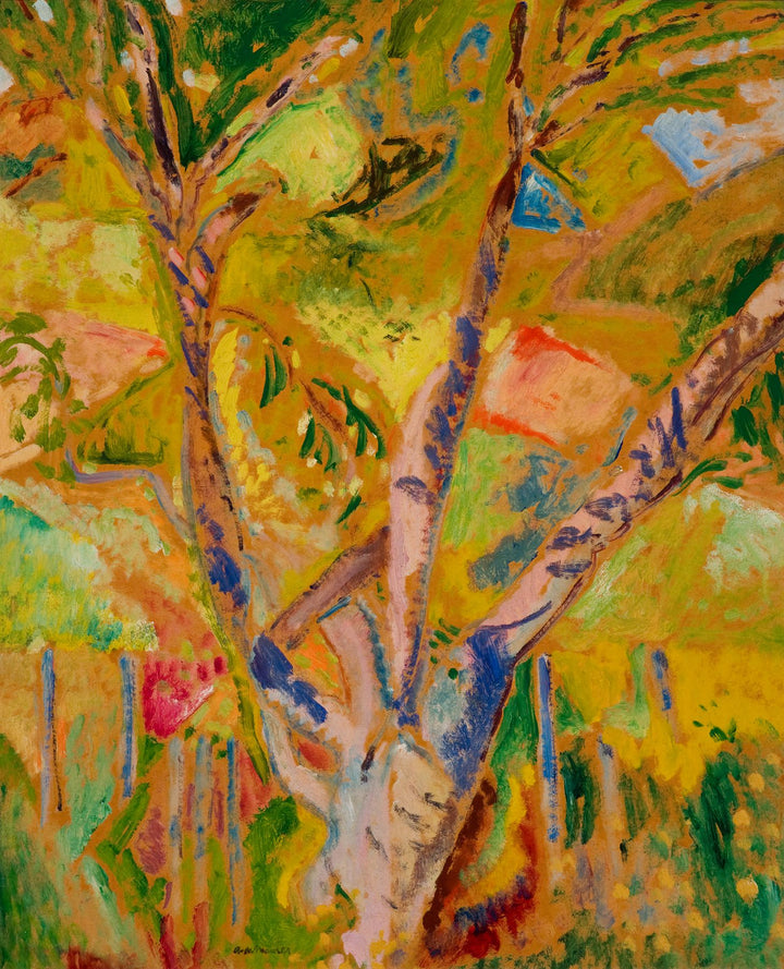 Landscape of Provence