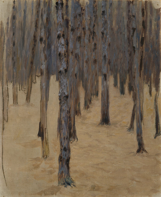 Pine Forest in Snow