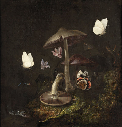 A Sottobosco with Mushrooms, Butterflies, a Dragonfly, a Snake and a Lizard