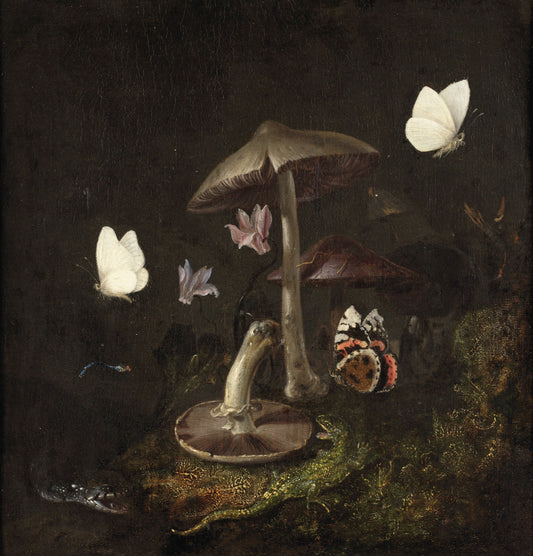 A Sottobosco with Mushrooms, Butterflies, a Dragonfly, a Snake and a Lizard