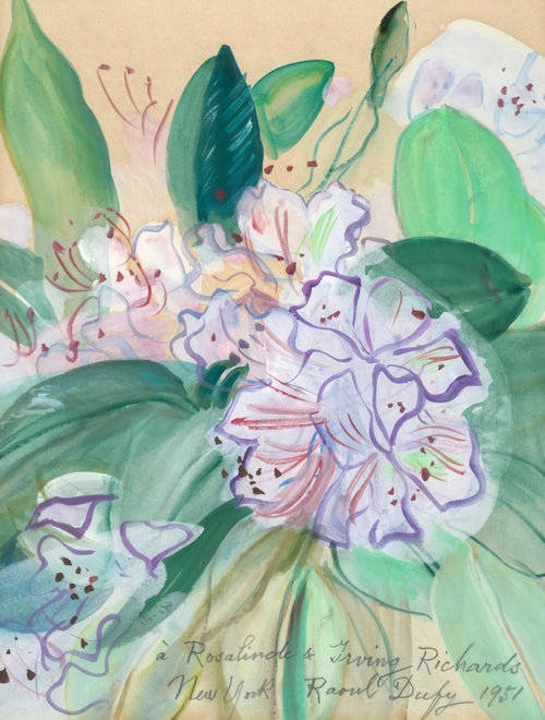 Bouquets aux amaryllis